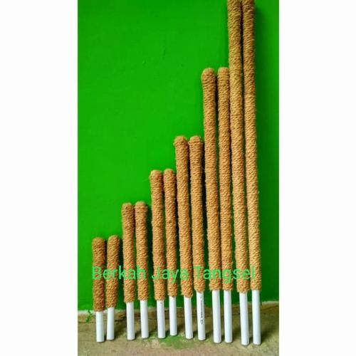 Gambar turus penyangga tanaman 30 cm, 50 cm80 cm - 30 cm dari Berkah jaya tangsel Kota Tangerang Selatan Tokopedia