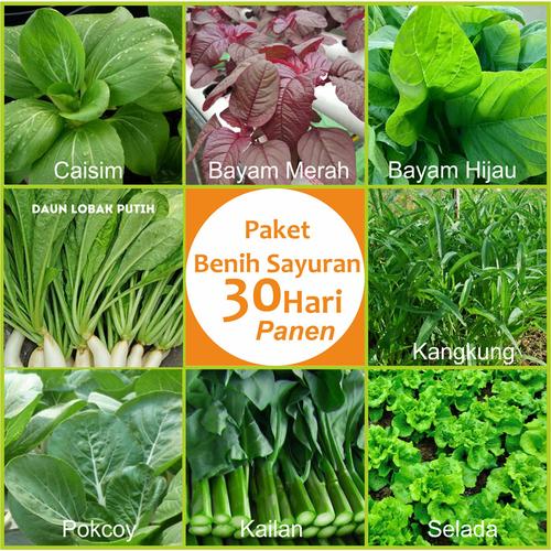 Gambar Paket Benih Sayuran 30 Hari Panen (Pokcoy, caisin, bayam, kailan, dll) dari IPB Mart Kota Bogor Tokopedia