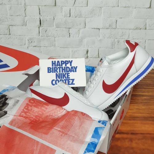Jual nike cortez xlv classic - 43 
