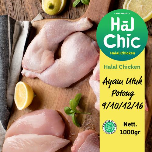 Ayam Potong 16