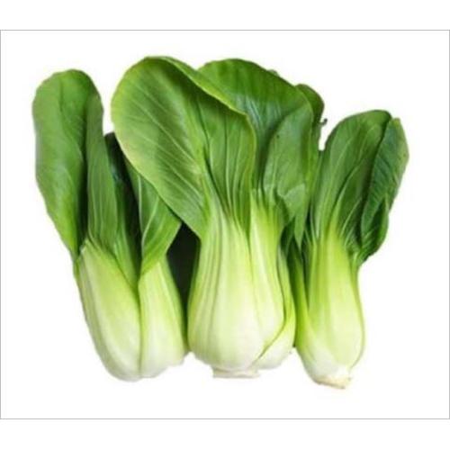 Gambar Sawi Sendok / Pakcoy / Bhok Coy / Sawi Daging - Kecil dari ok-grosir Kota Malang Tokopedia
