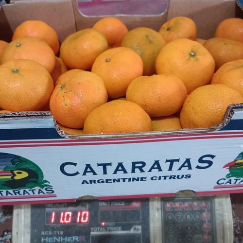 Gambar jeruk murcott argentina dari Toko-Buah-88 Jakarta Barat Tokopedia