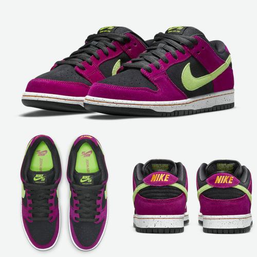 Nike SB Dunk Low ACG \