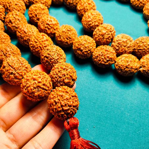 japamala rudraksha original biji besar 