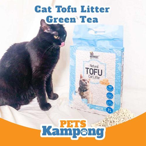 all black betta fish