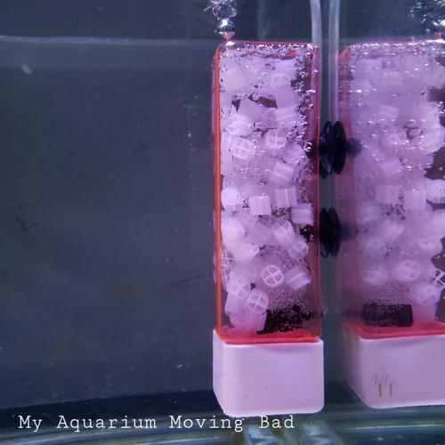 Jual Box Filter Aquarium / Moving Bad / filter kaldness k1 / tempat