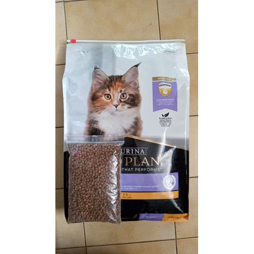 harga pro plan kitten repack