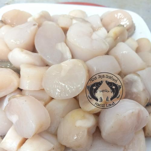 Promo Scallop Fresh Frozen all size / kerang Kampak / kerang simping 1