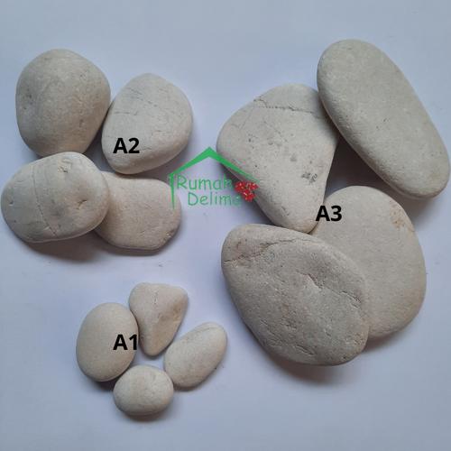 Gambar batu koral pancawarna/batu koral putih/ batu hias - A1 (3-4 cm) dari Rumah Delima Jakarta Timur Tokopedia