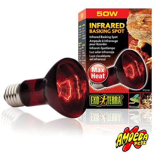 Jual ExoTerra Infrared Basking Spot / Lampu Reptil / Penghangat 75