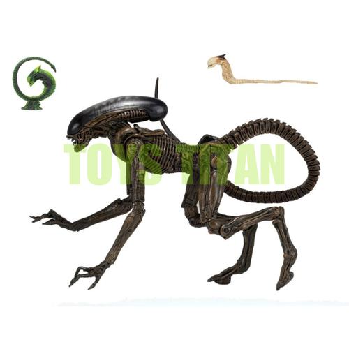 Jual NECA Ultimate Dog Alien - Kota 