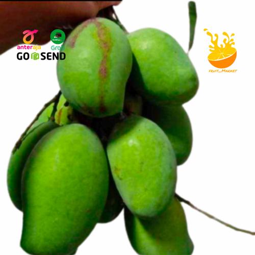 Jual Buah Mangga Mentah Mangga Muda Mangga Rujak Garing Segar Per 1 Kg Kecil Jakarta Barat Fruit Market Tokopedia
