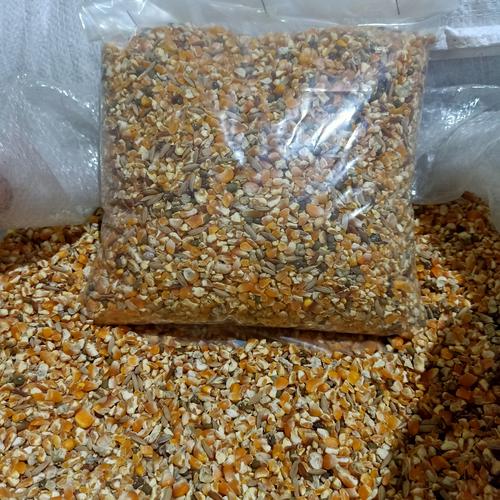 Jual Jagung campur 500gr pakan burung derkuku puter Jakarta Barat