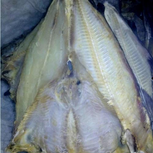 Gambar Ikan Asin Jambal Roti Super (kurang lebih 1 kg) dari SurplusS Kota Medan Tokopedia