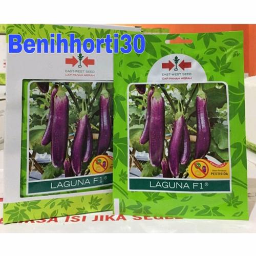 Jual Benih Terong Ungu Laguna f1 isi 
