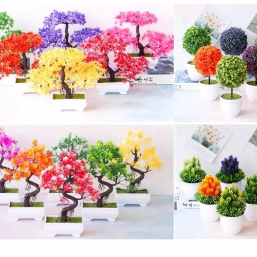 Bonsai Sakura Plastik