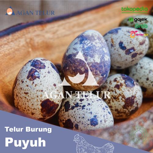 Harga Telur Burung Puyuh Jual Telur Puyuh Fresh / butir - Jakarta Barat - agan telur | Tokopedia