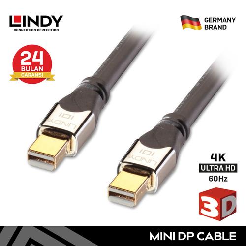 Jual LINDY 41541 Kabel 1M Mini 