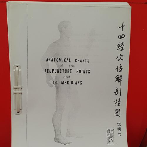 Jual BUKU DIKTAT ANATOMICAL CHARTS OF THE ACUPUNCTURE POINTS & 14 ...