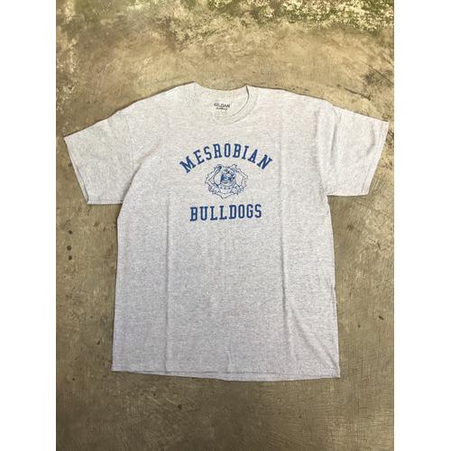 not hanes alstyle printstar nike 