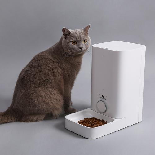 petkit automatic feeder