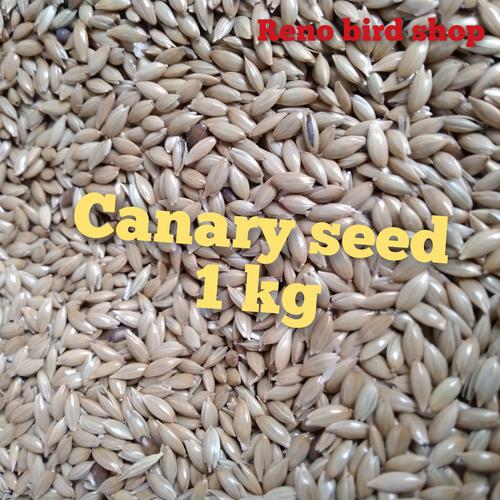 Jual canary seed 1 kg pakan burung kenari branjangan manyar parkit lovebird - Kota Tangerang Selatan - reno bird shop | Tokopedia