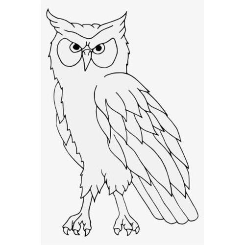 470 Koleksi Gambar Burung Hitam Putih Untuk Kolase HD