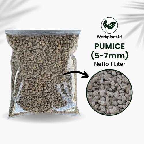 Gambar Pumice 3-7mm Batu Apung Media Tanam Kaktus Sukulen Tanaman Hias 1Liter dari workplantofficial Kota Surabaya Tokopedia