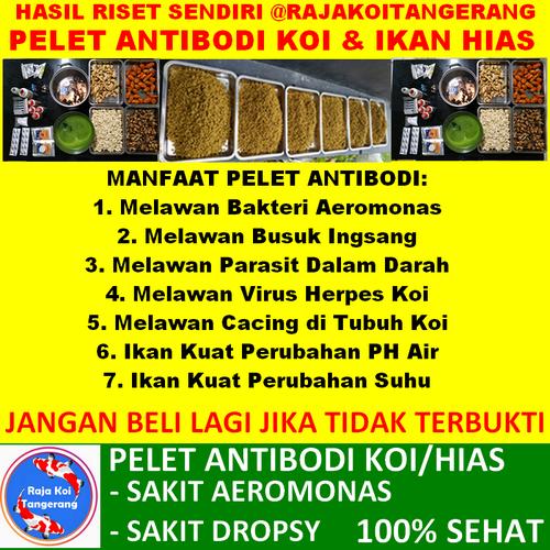 Foto Produk PELET ANTIBODI IKAN KOI UKURAN 5 MM (MEDIUM) dari Raja Koi Tangerang