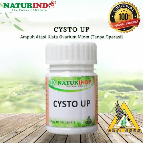 Gambar Herbal CYSTO UP Naturindo (Spesial Myom & Kista) dari BAYI NAGA Jakarta Utara Tokopedia