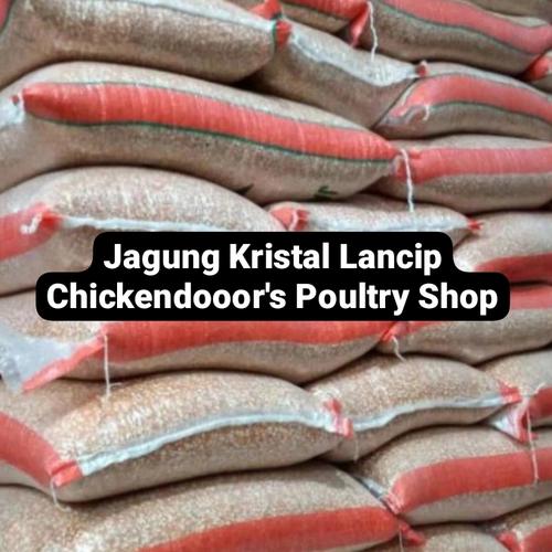 78 Gambar Bebek Ayam Burung Dara Gratis Terbaik