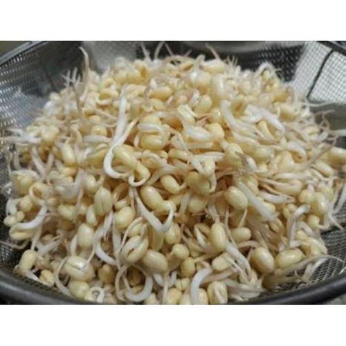 Jual Toge Rawon/Toge Kecil/Toge Kecambah/Toge Baby 250gr - Sahabatdapur