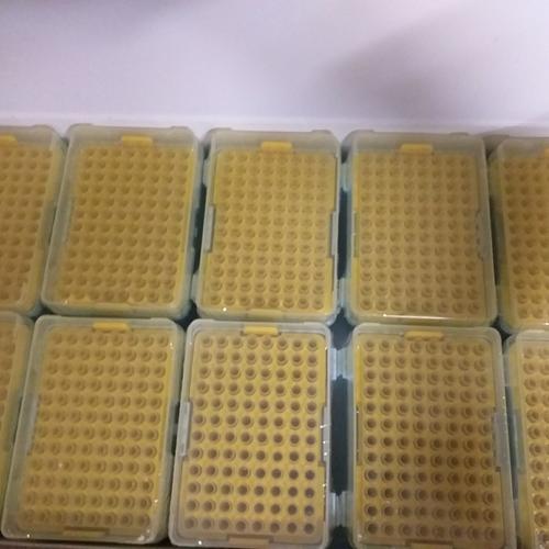 Jual NEST 200 uL Universal Pipette Tips Clear Rack Jakarta