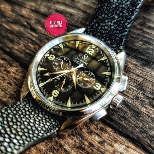 Jual Omega railmaster aqua terra-oris 