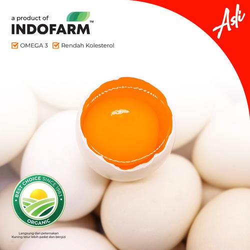 Foto Produk Telur Ayam Kampung Asli (Omega) - Box Polos dari INDOFARM PRODUCT