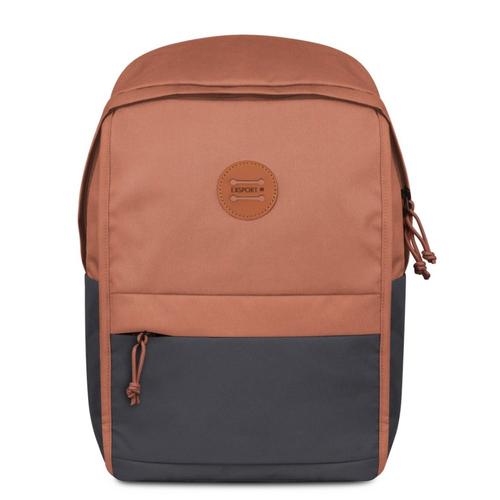 Gambar EXSPORT STELLA BACKPACK - Brown dari Eiger Adventure Official Kota Depok Tokopedia