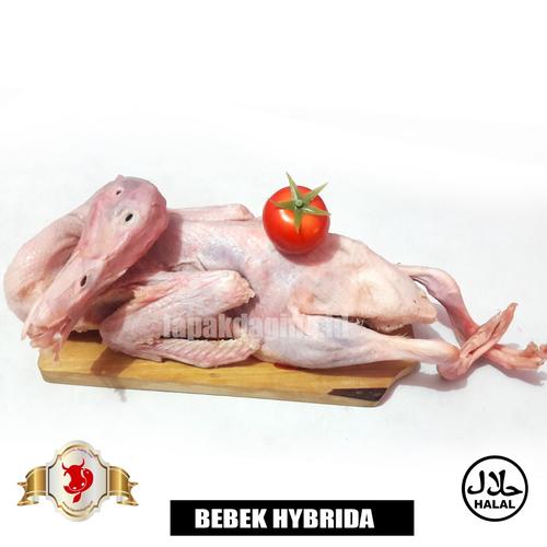 Gambar Bebek Hybrida 1,1kg dari BERKAH JAYA MEAT Jakarta Timur Tokopedia