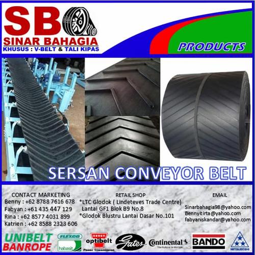 Jual Rubber belt conveyor Hitam 