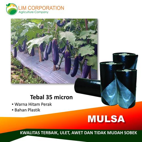 Gambar PLASTIK MULSA METERAN MULSA HITAM PERAK MULSA MURAH MULSA TANAMAN dari Plastik UV Murah Kab. Sidoarjo Tokopedia