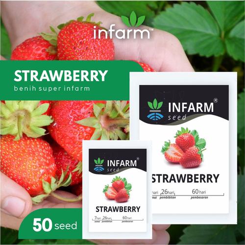 Jual Benih Super Strawberry Infarm (Red 
