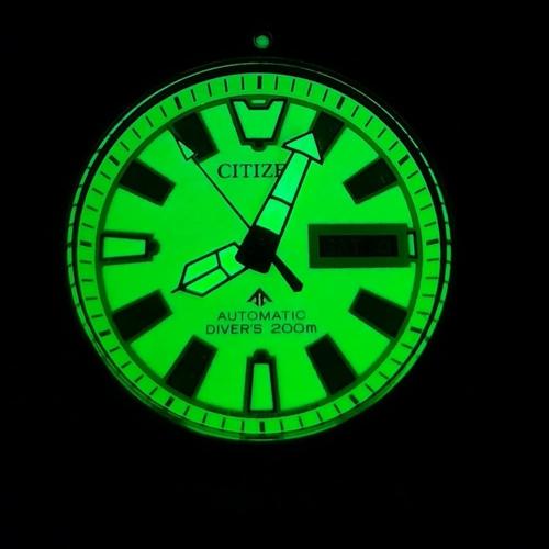 Jual Citizen promaster fugu lefty NY0119 full lume no seiko - Kota Bekasi -  Franzlicious | Tokopedia