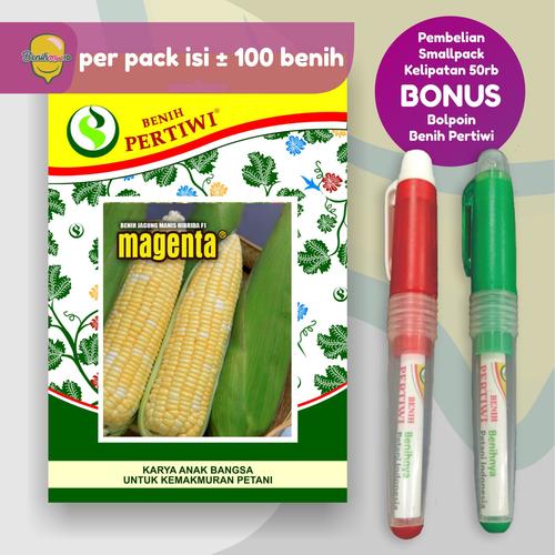 Gambar Benih Jagung Manis Hibrida MAGENTA dari benihmart.id Kota Surabaya Tokopedia