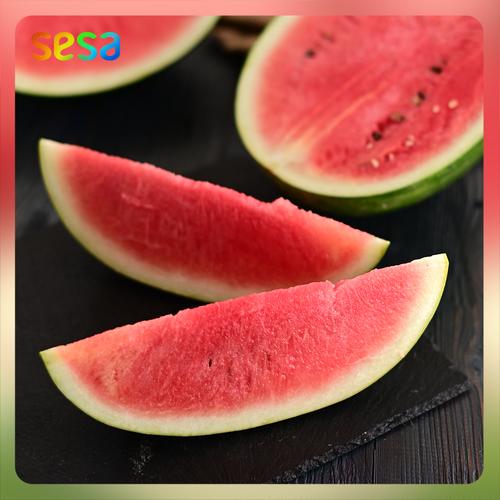 Gambar Buah Semangka Merah Tanpa Biji /pcs dari SESA Official Jakarta Selatan Tokopedia