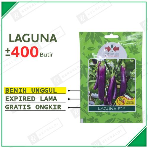 Unggul Bibit Terong Ungu Hibrida SP 