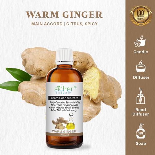 Gambar Sicher SA-102 Fragrance Oil Warm Ginger 100ml dari Sicher Ecosystem Jakarta Utara Tokopedia