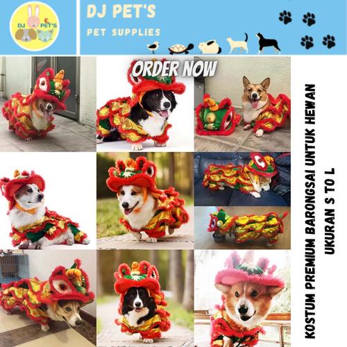 dog chinese new year costume