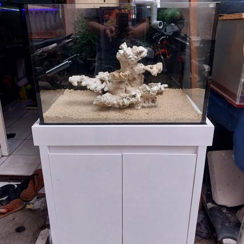 Jual Aquarium Laut Sump Bawah Meja Aquarium Paket Full Set