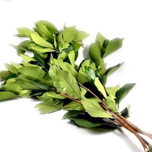 Jual daun salam 100gr - Produk Pe Pengiriman Barang Pagi dan Sore Hari ...