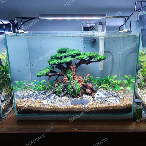 Jual Paket Komplit Isian Aquascape Tema Bonsai Sintetis bonsai