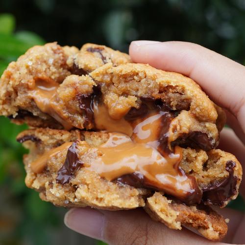 Jual Lotus Biscofffilled Chocolate Chip Cookies Jakarta Selatan Le